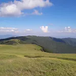 Pratomagno Cetica